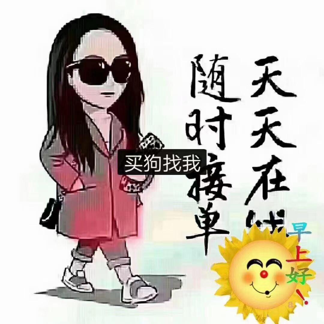 A二铜犬🐩舍👉批发高端成🐩