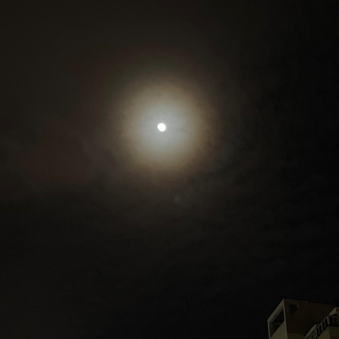 你就是遗憾
