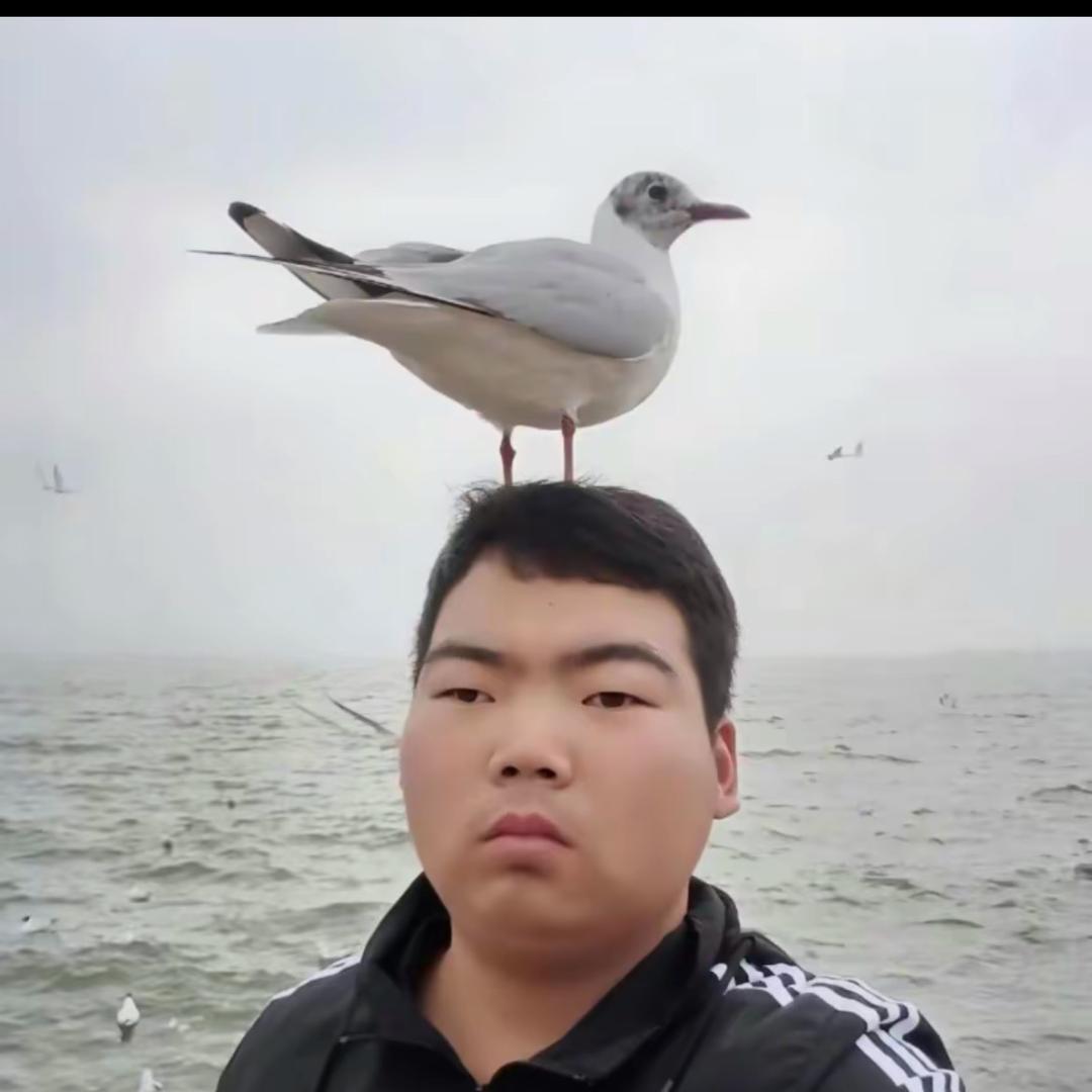 归雁入胡天