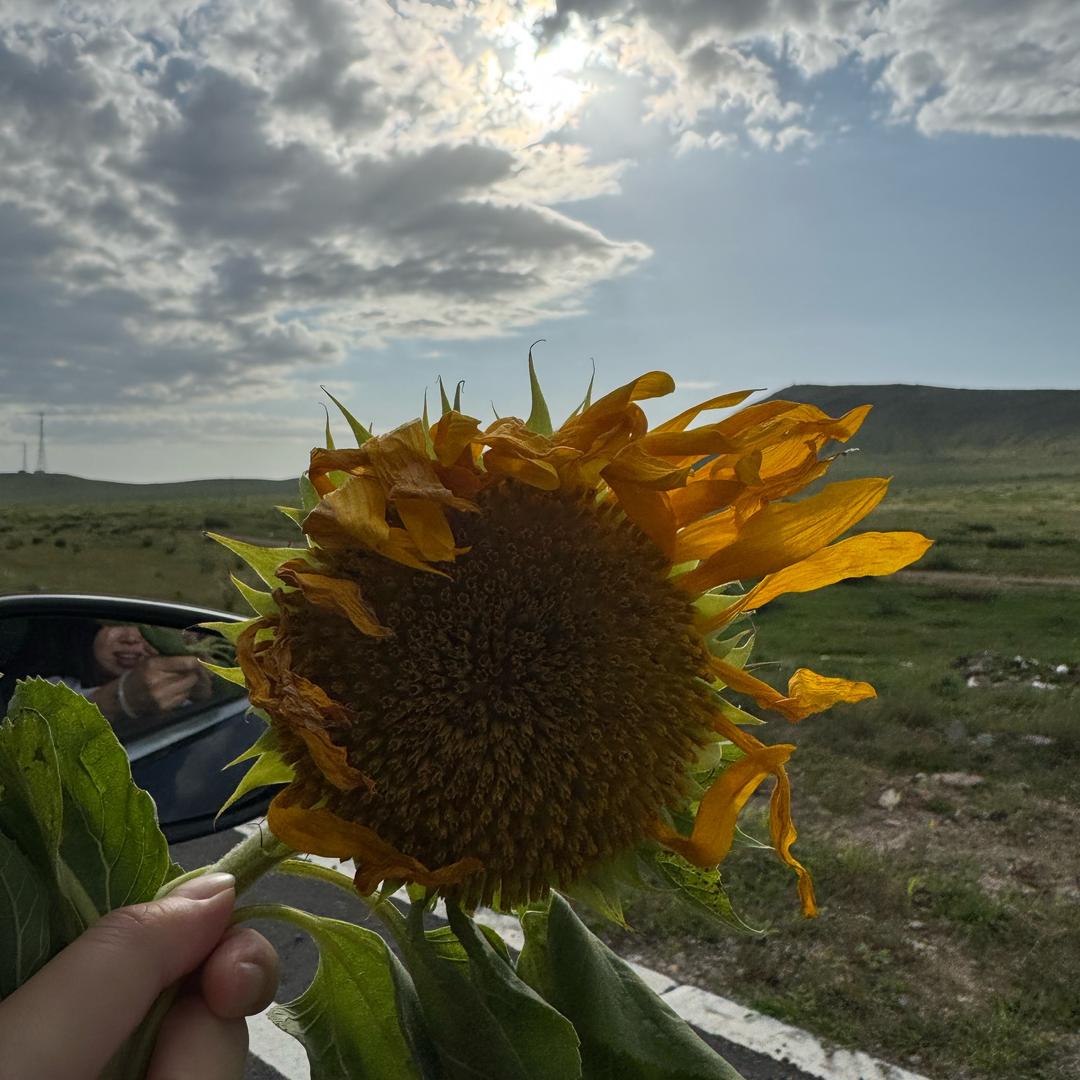 妮妮妹儿邻居伙伴折扣仓
