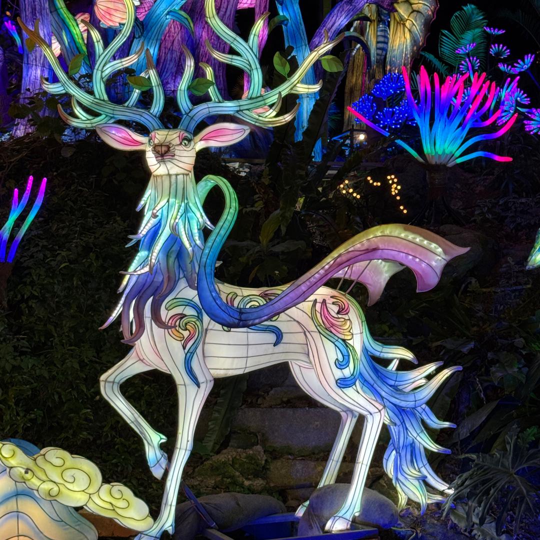 小分队生活号
