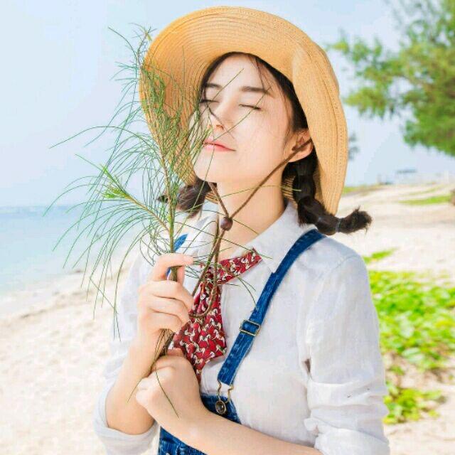 🌻🌻🌻🌻🌻