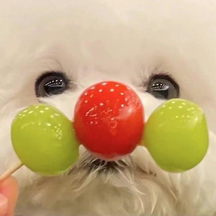 是小熊甜可可🧸