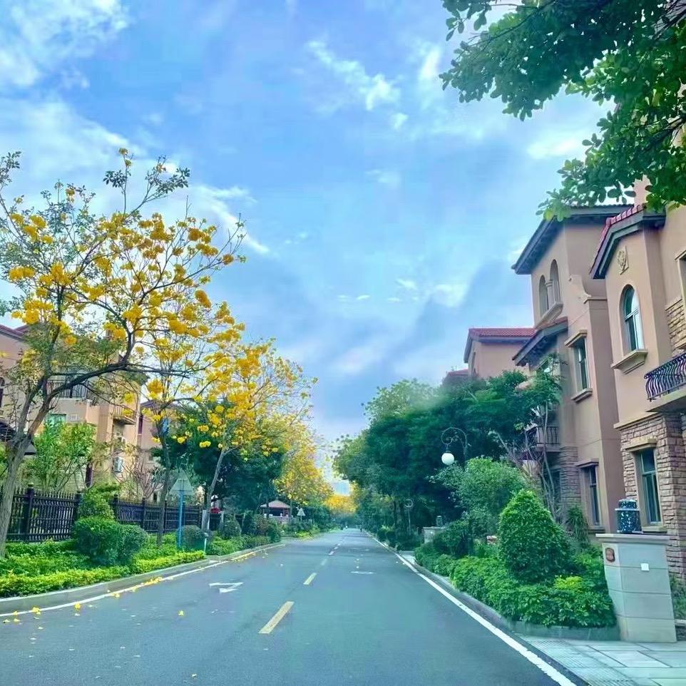 风雨无阻