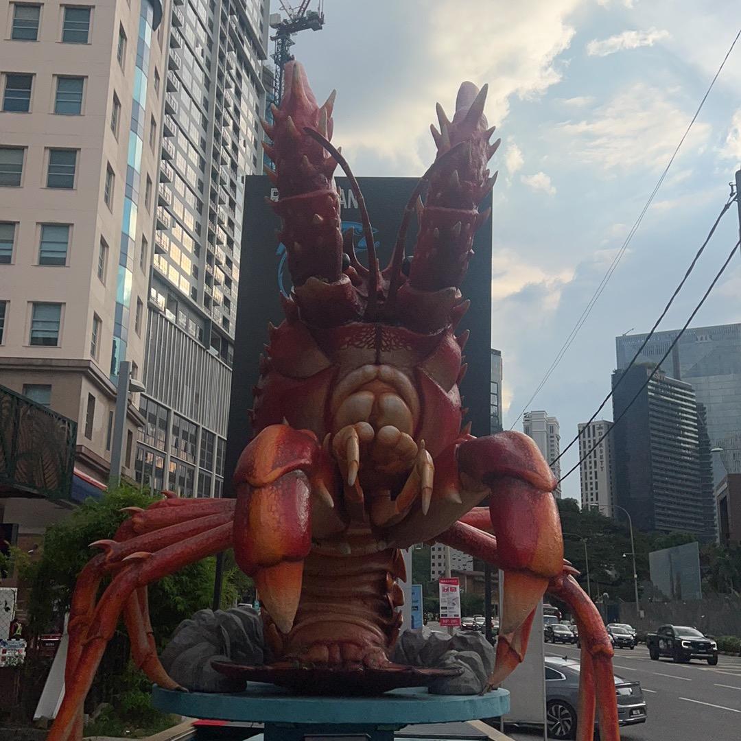 可乐