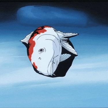 卡登（三角洲）