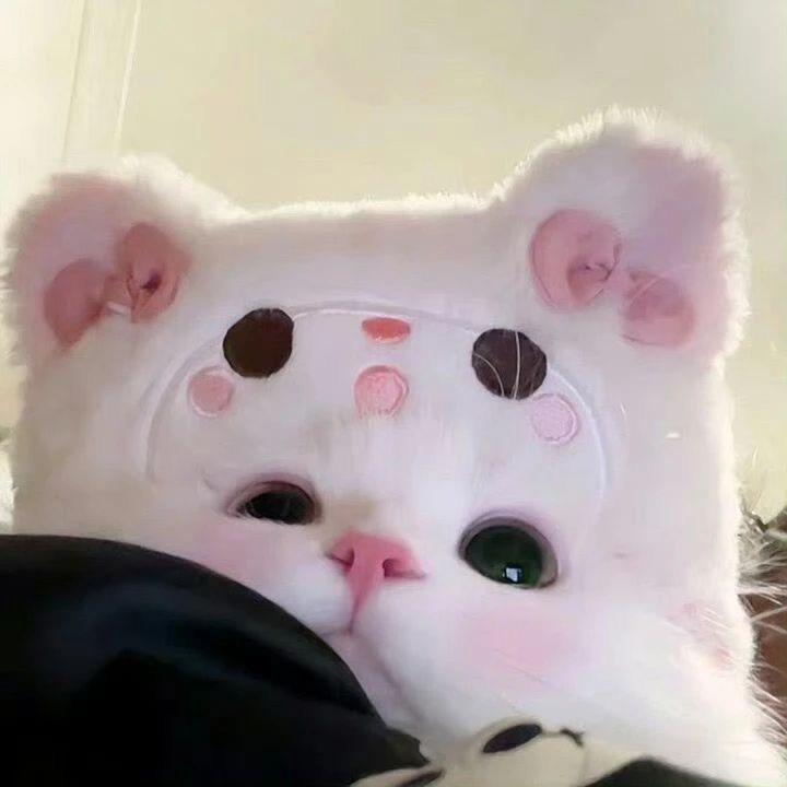 什么蕾_.