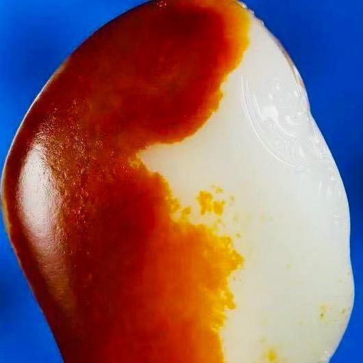 大毛衣籽玉
