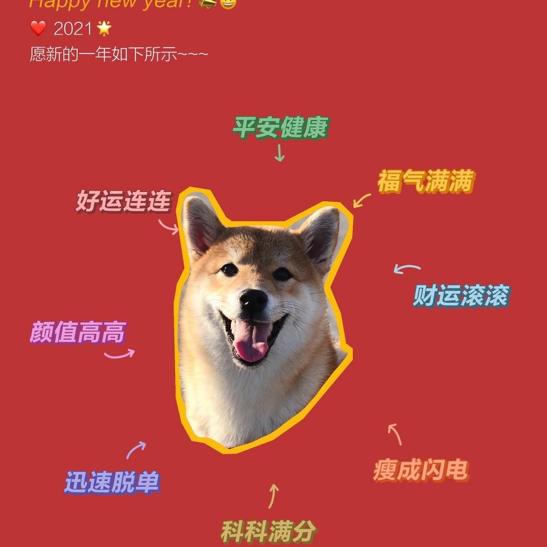 瓜小宝头像
