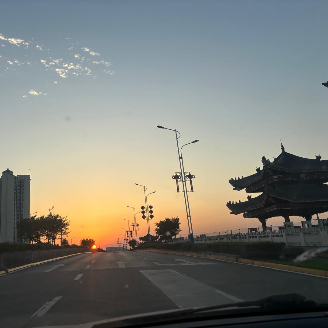 静新2