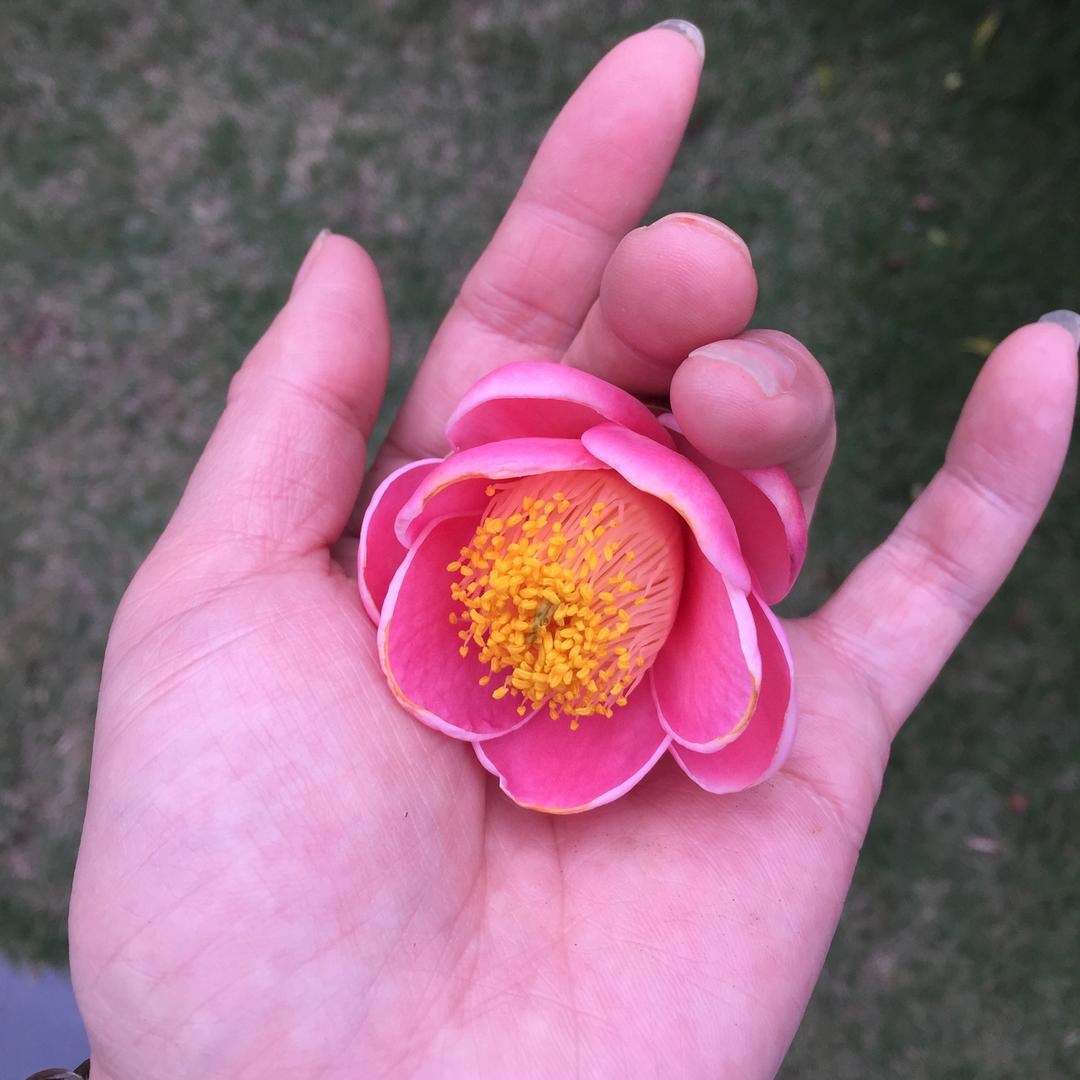 悠悠