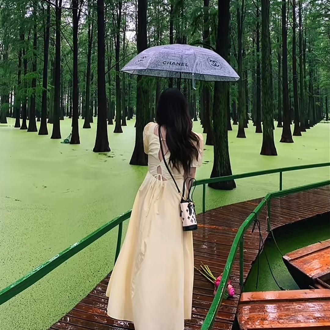 米线多放香菜🌵