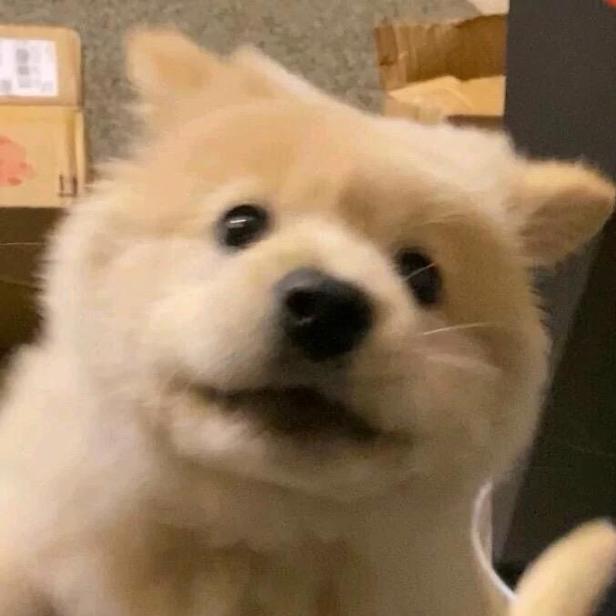 恸