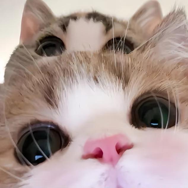 亭惊书