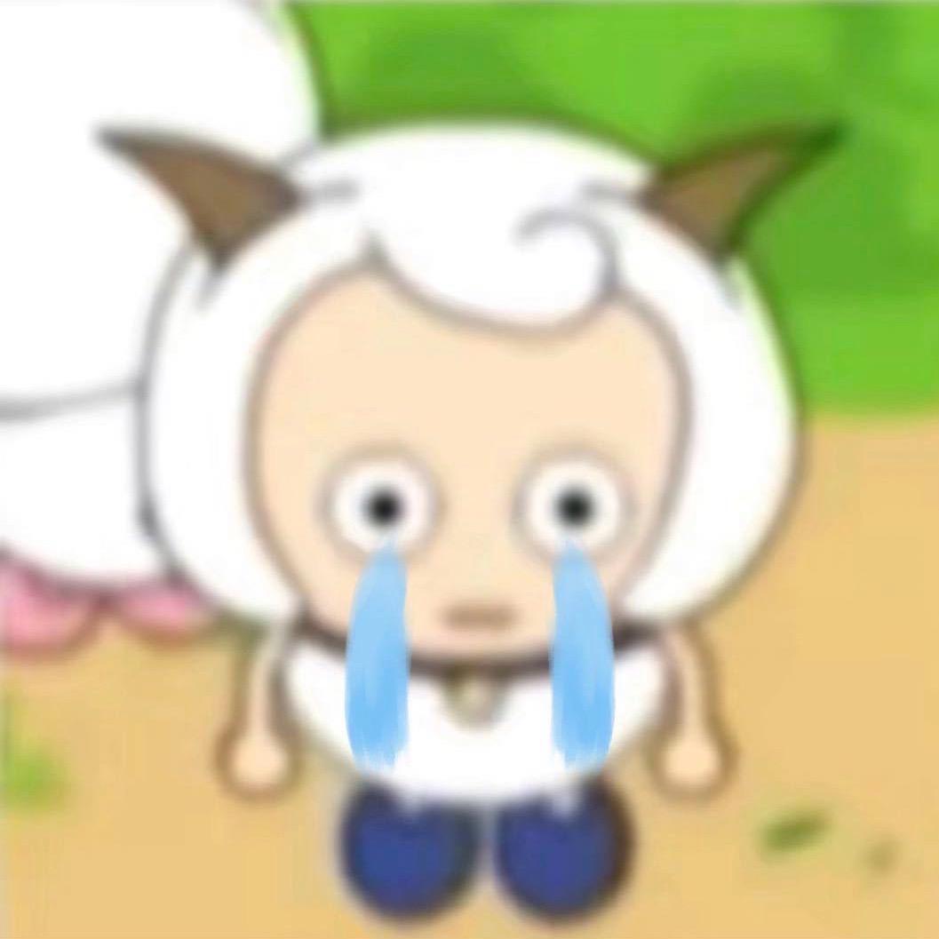 君羊🐑