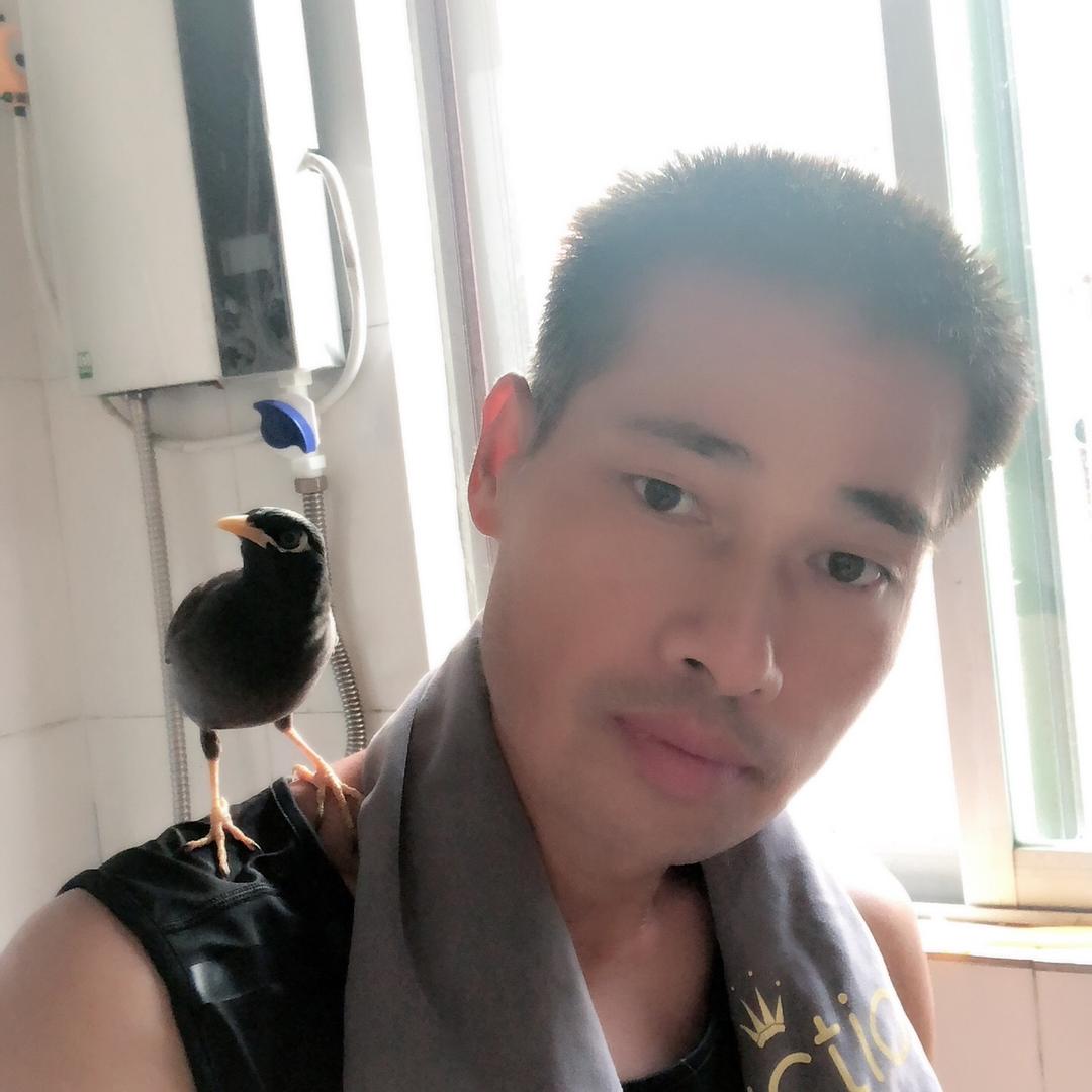 大兴散养土家禽