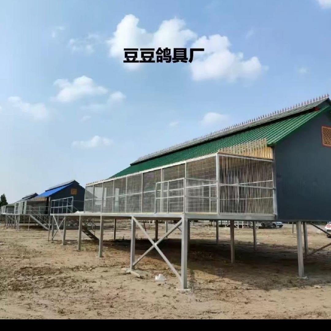 豆豆鸽具，避光门厂家