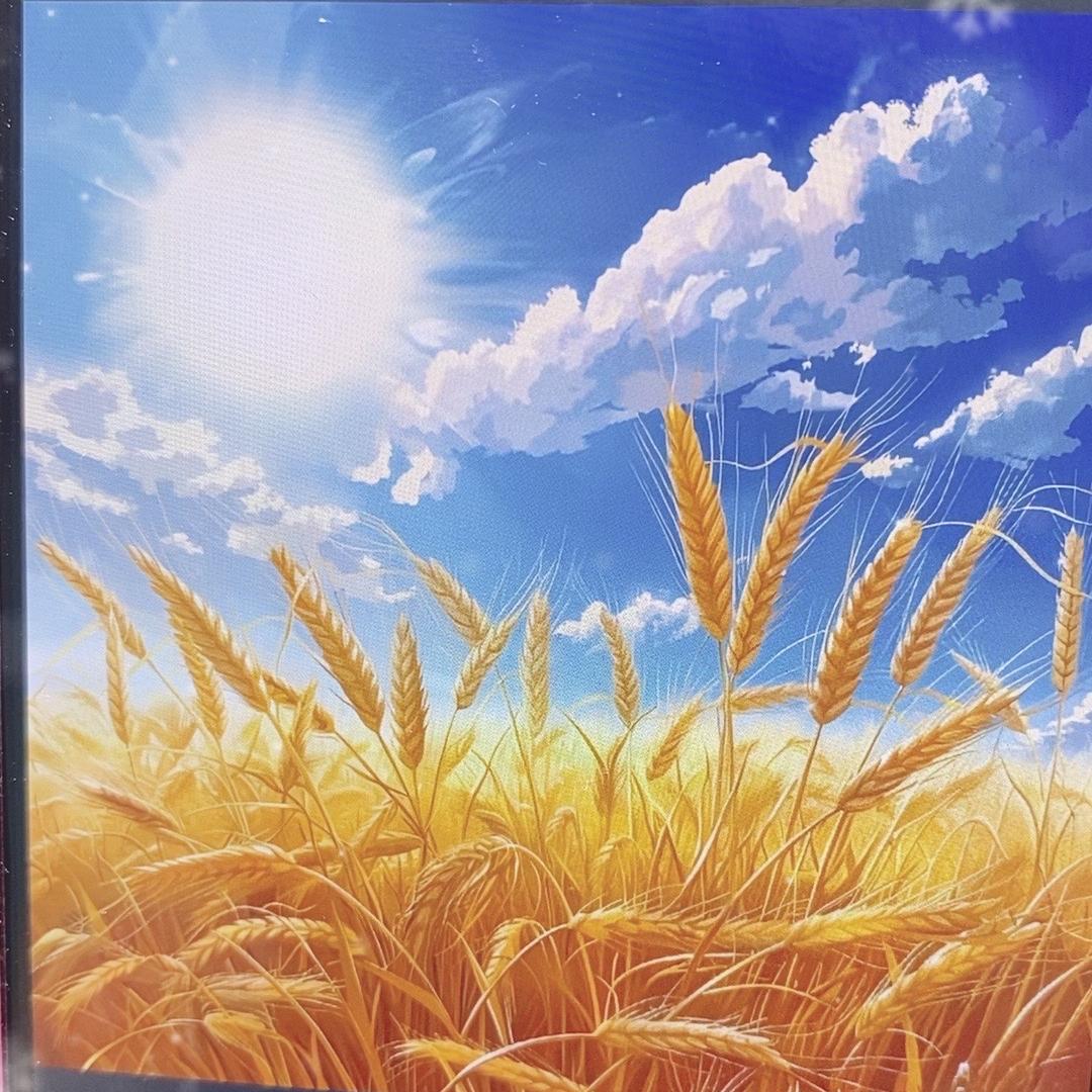老堂口文玩汇