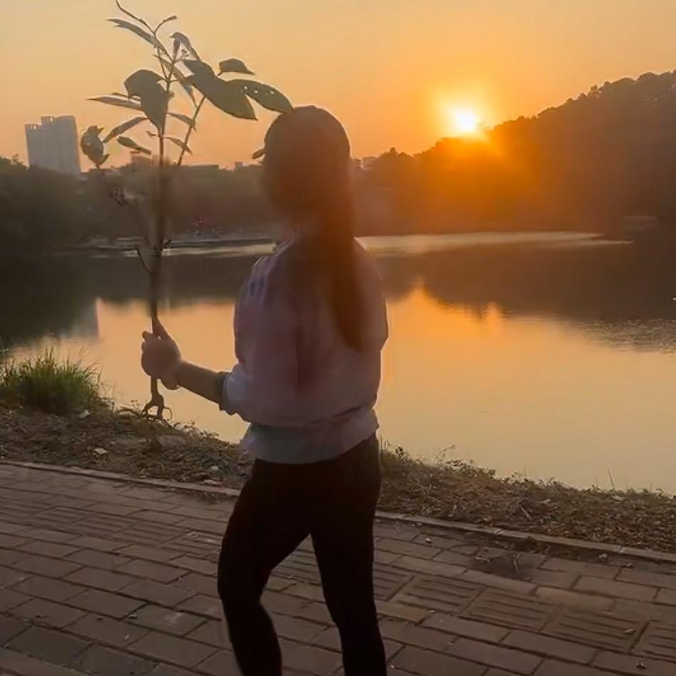 麦子在默默长大