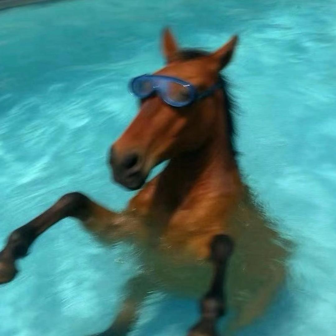 离过婚的男人知道怎么疼人📷🍂