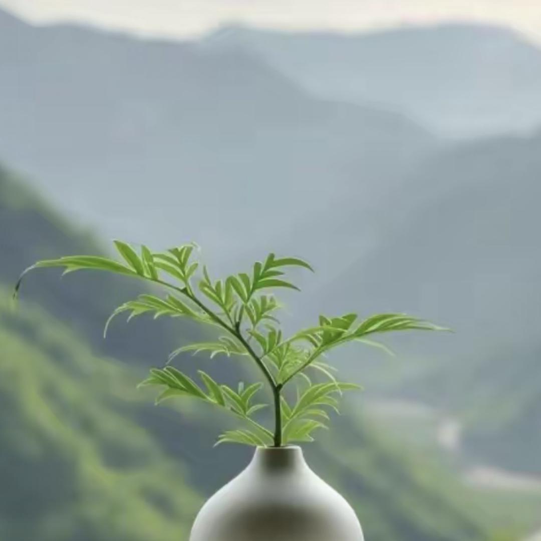 卡达淘百货店