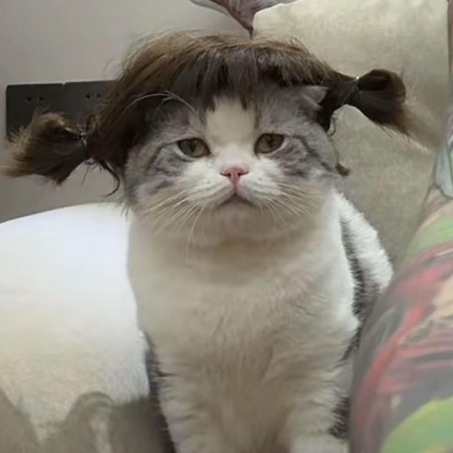 6666
