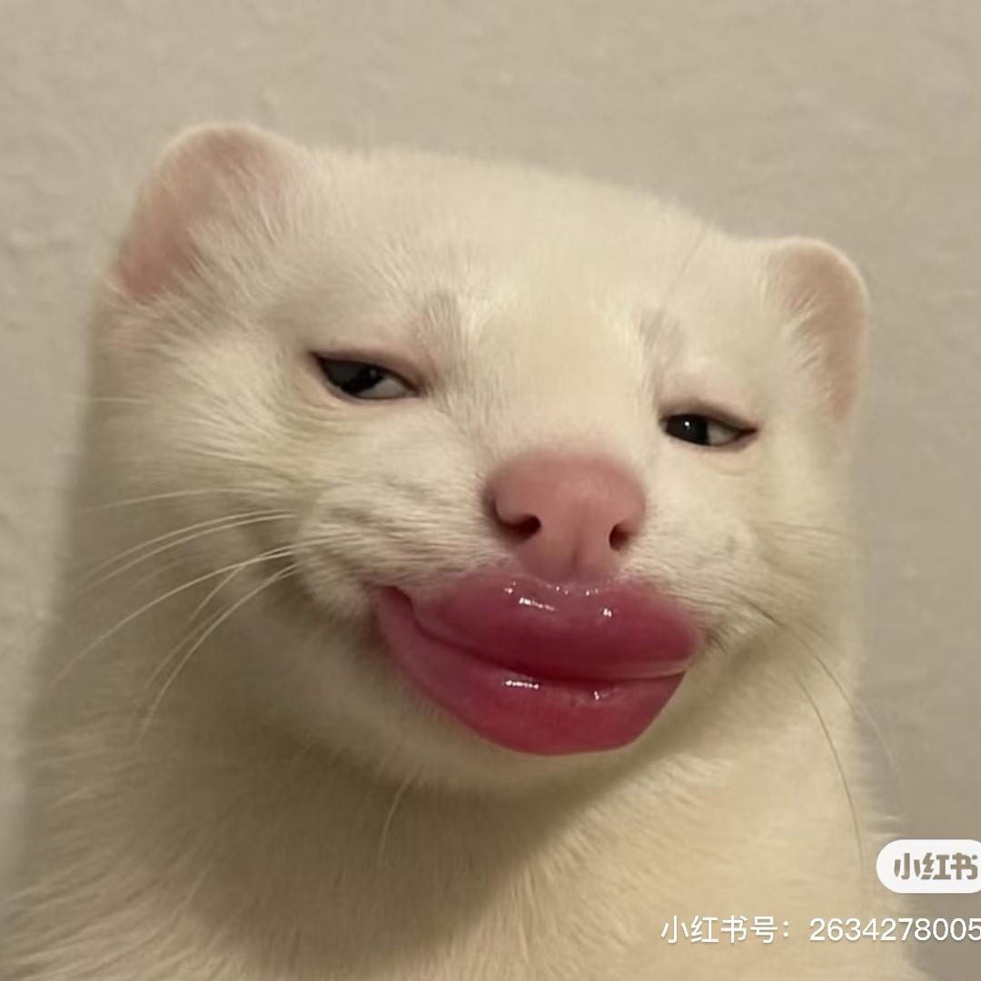 哈哈大王·