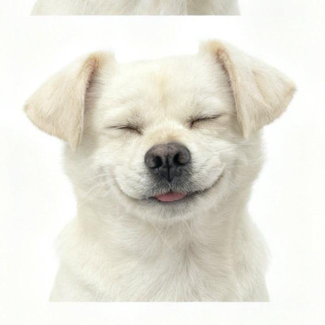 七总的双眼皮.