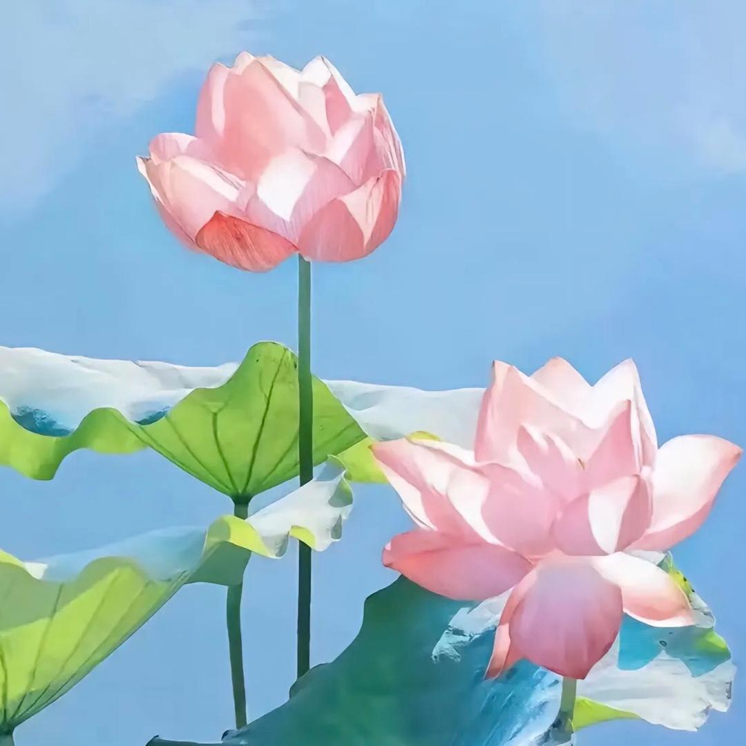 晓红（找个老伴）