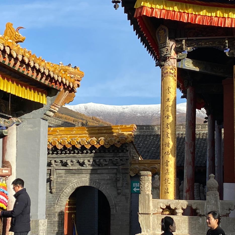 仁和DHA官方授权账号