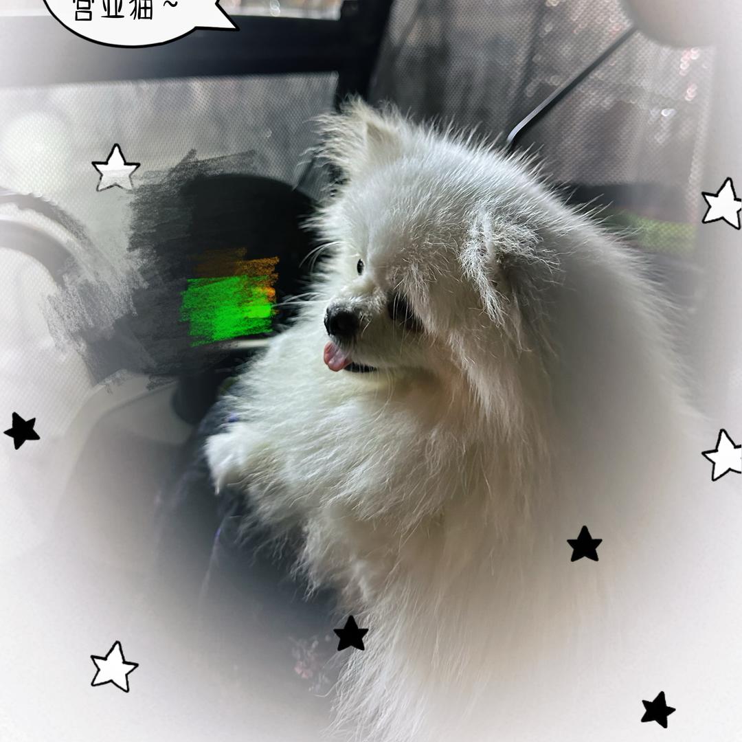 田园生活🍀