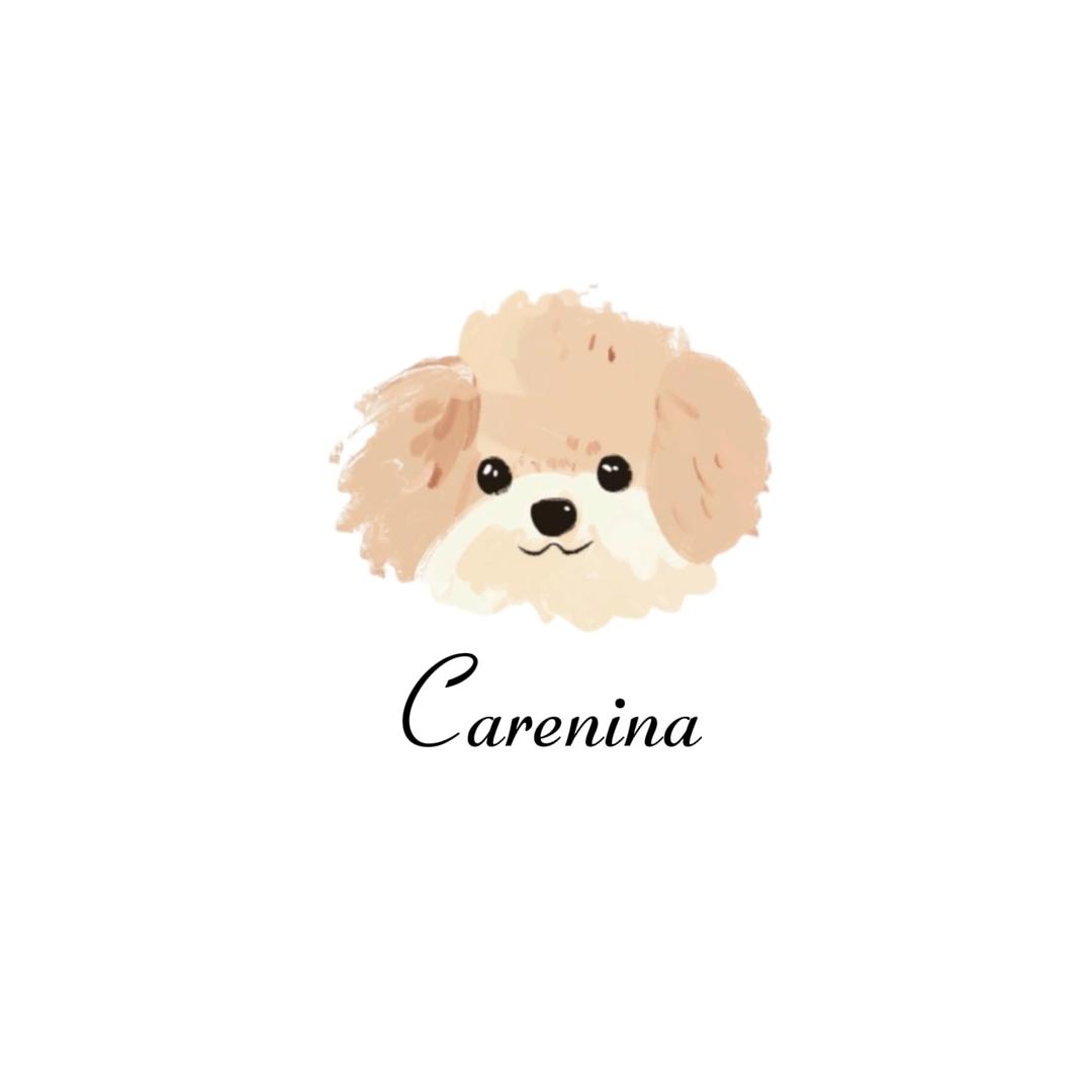 Carenina银饰