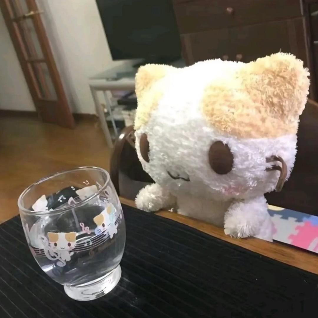 邪恶的双眼皮贴yu