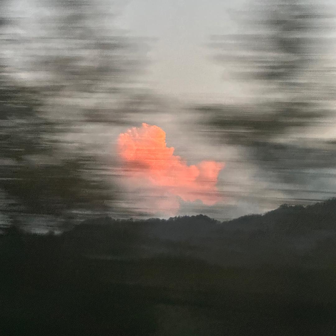 秋山落叶