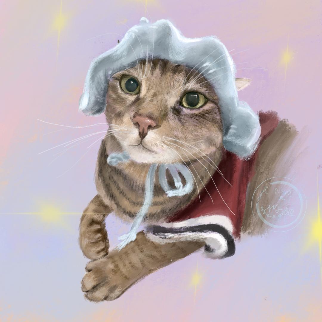 肉粽是只猫
