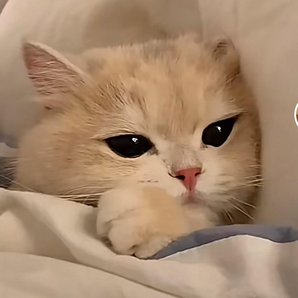 瑶了我叭（重生版）