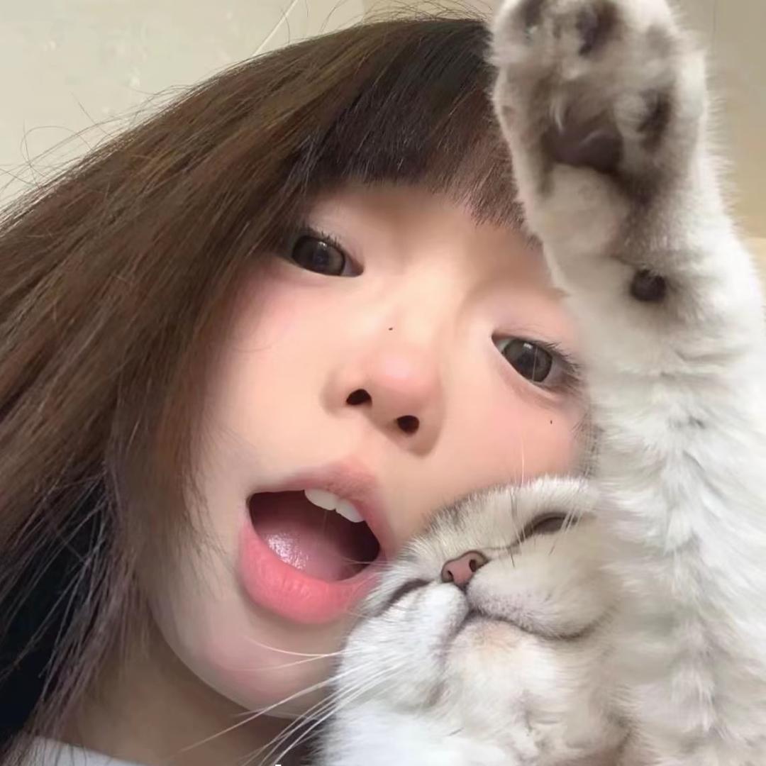 轩.