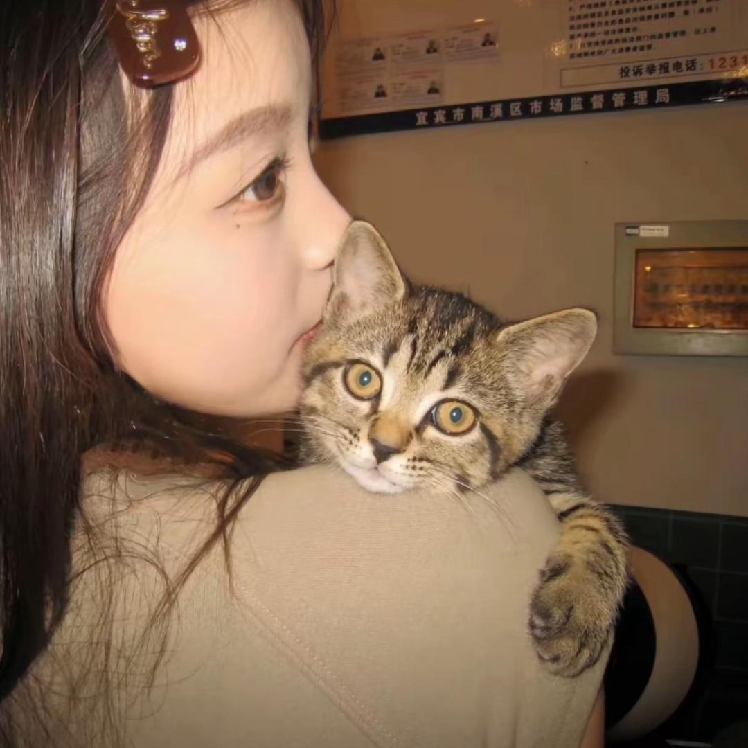 Cai菜.