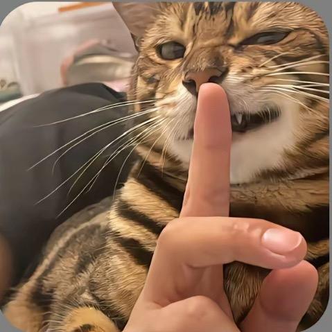 杰杰