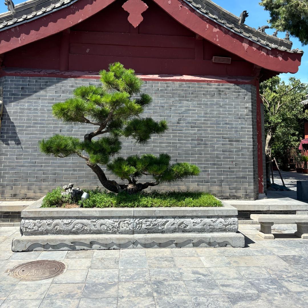 无为居士