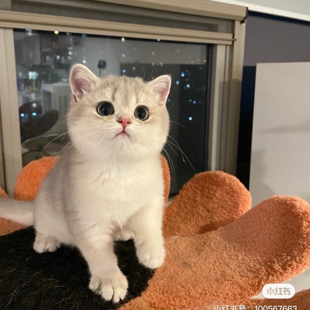 胡萝卜又吃又喝又玩🥕🌈