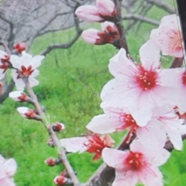 梅姐的服装小店