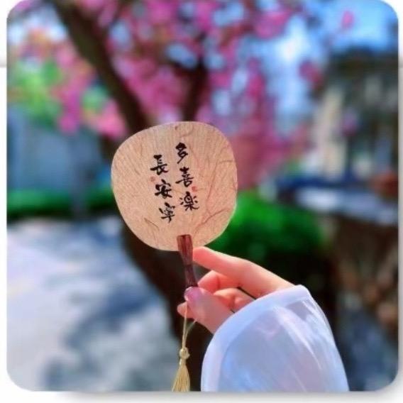 金莹🌟