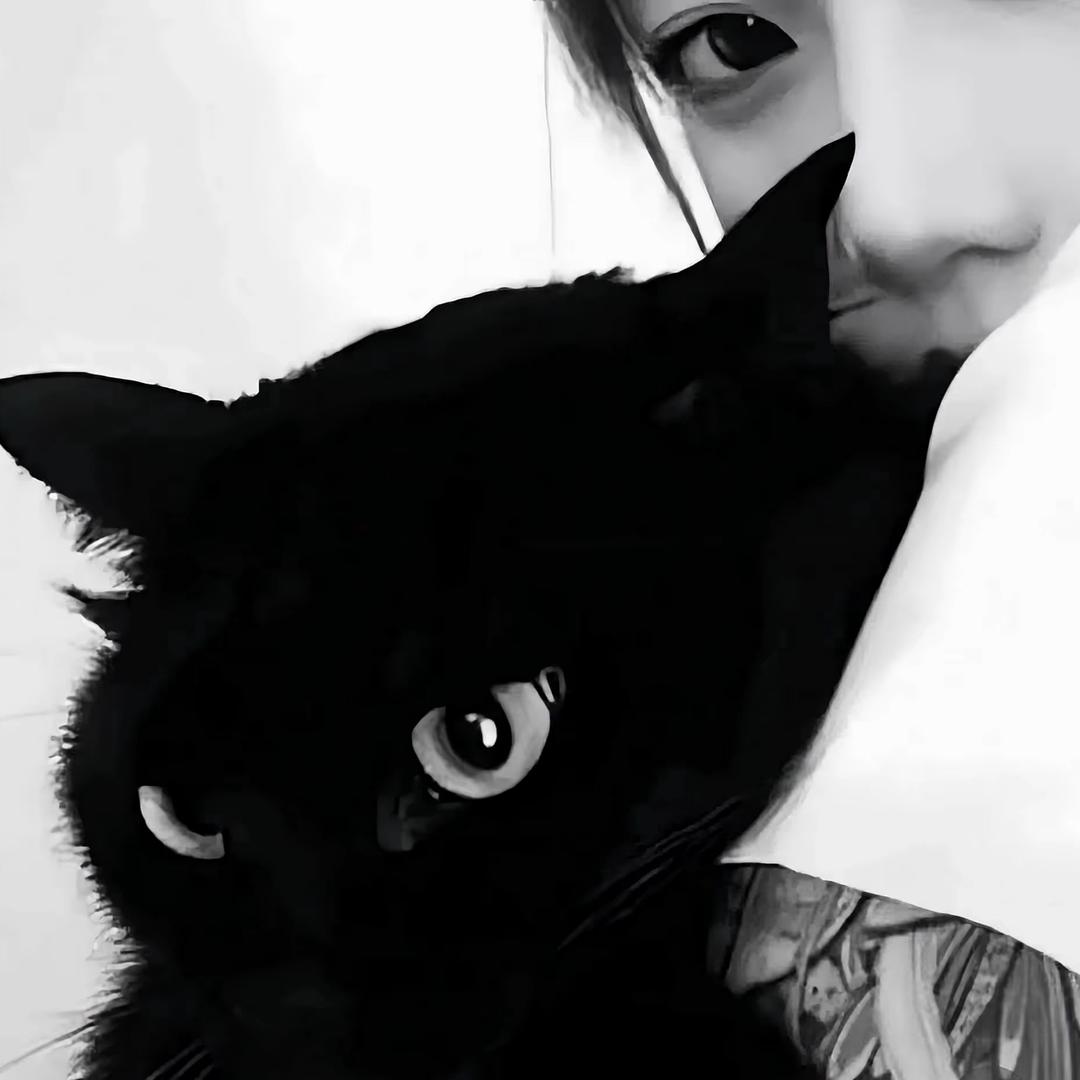 ▪️▪️