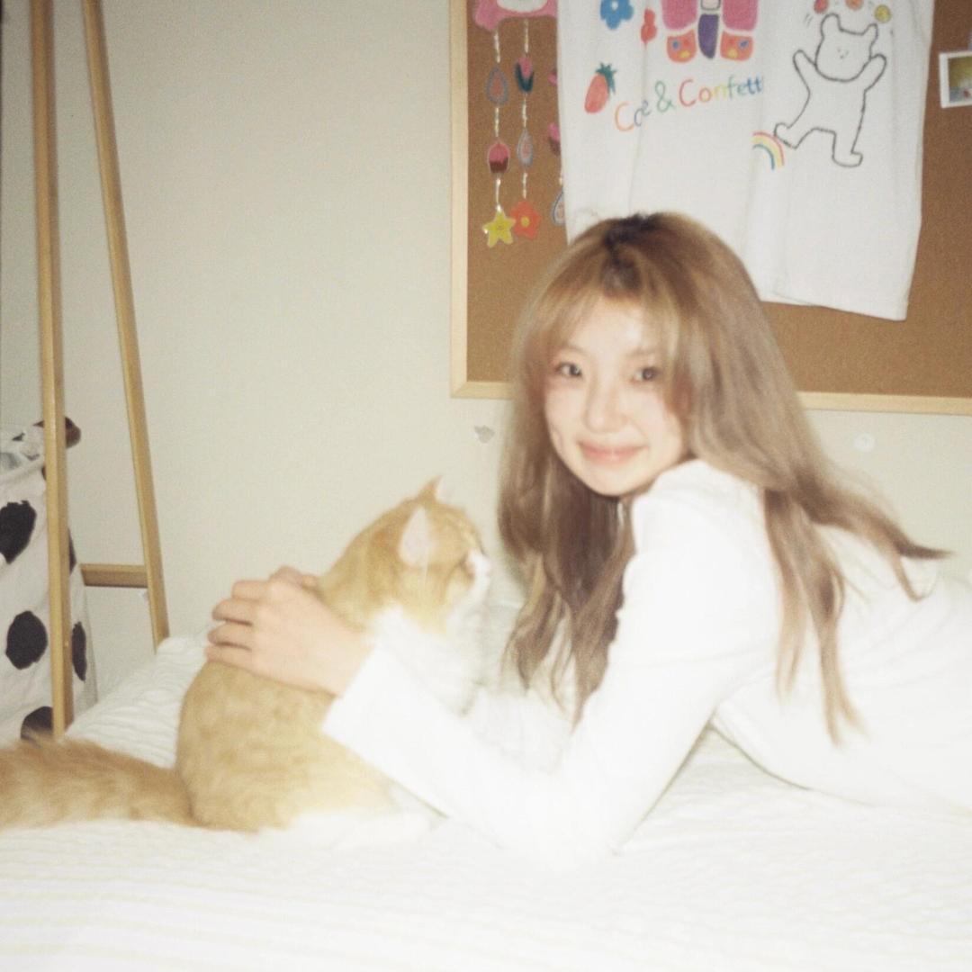 洋芋国国王（测评版）