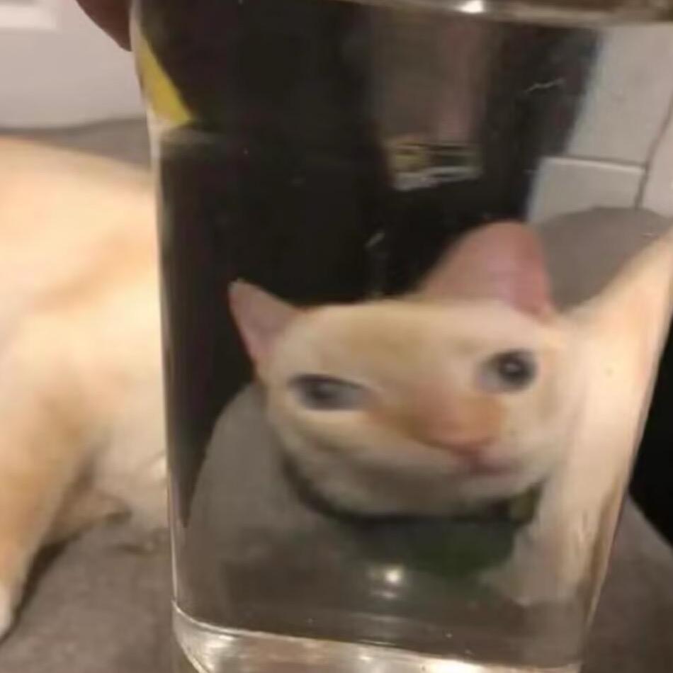 顶天立地大蟑螂