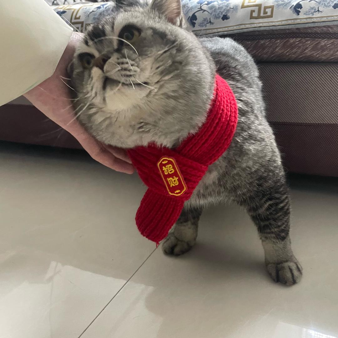 。。。。.