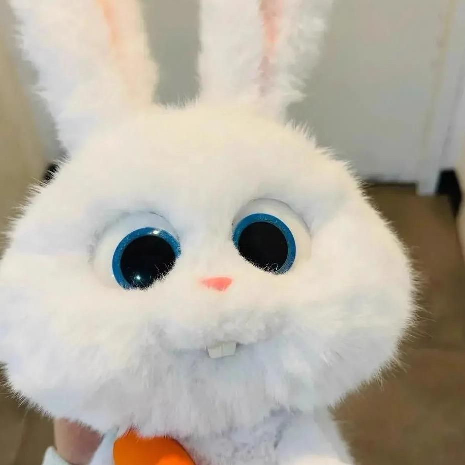 一只悲伤兔🐰