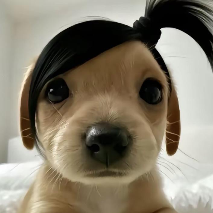 人傻嘴不甜长得丑