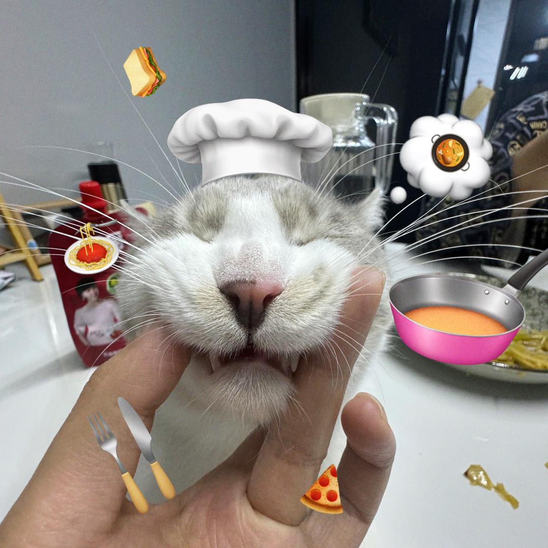两只小臭咪🐱